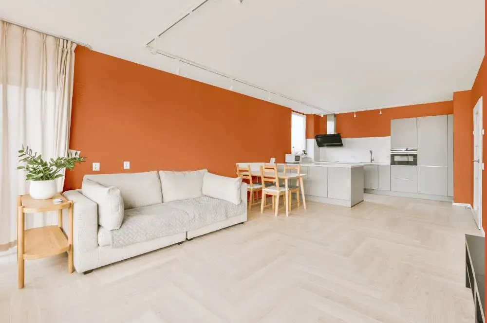 Benjamin Moore Orange Blossom living room interior