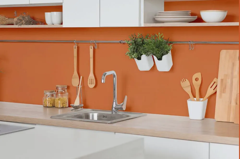Benjamin Moore Orange Blossom kitchen backsplash