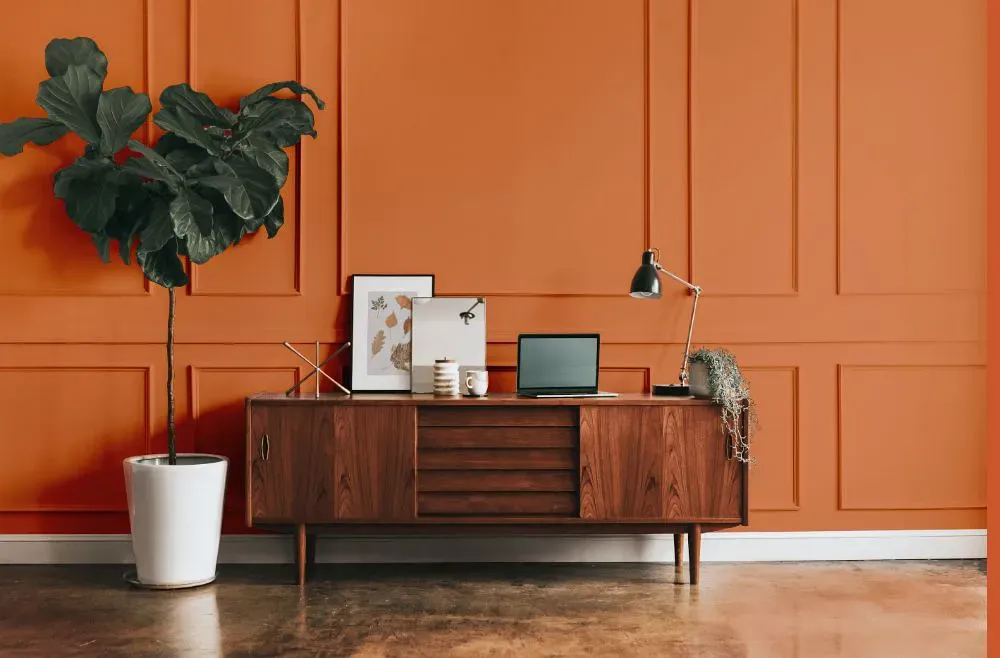 Benjamin Moore Orange Blossom modern interior