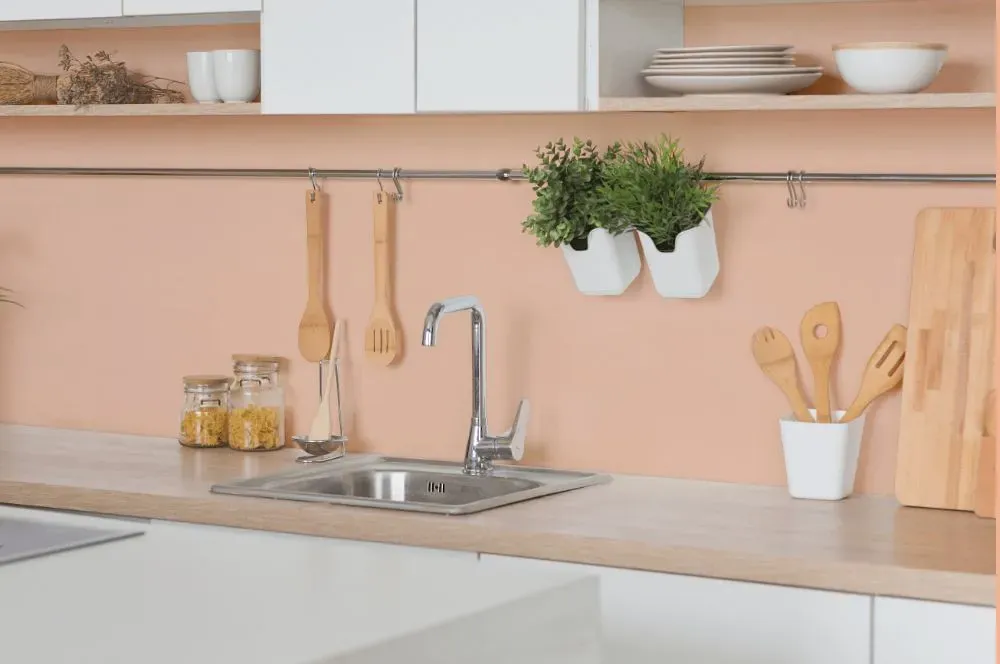 Benjamin Moore Orange Creamsicle kitchen backsplash