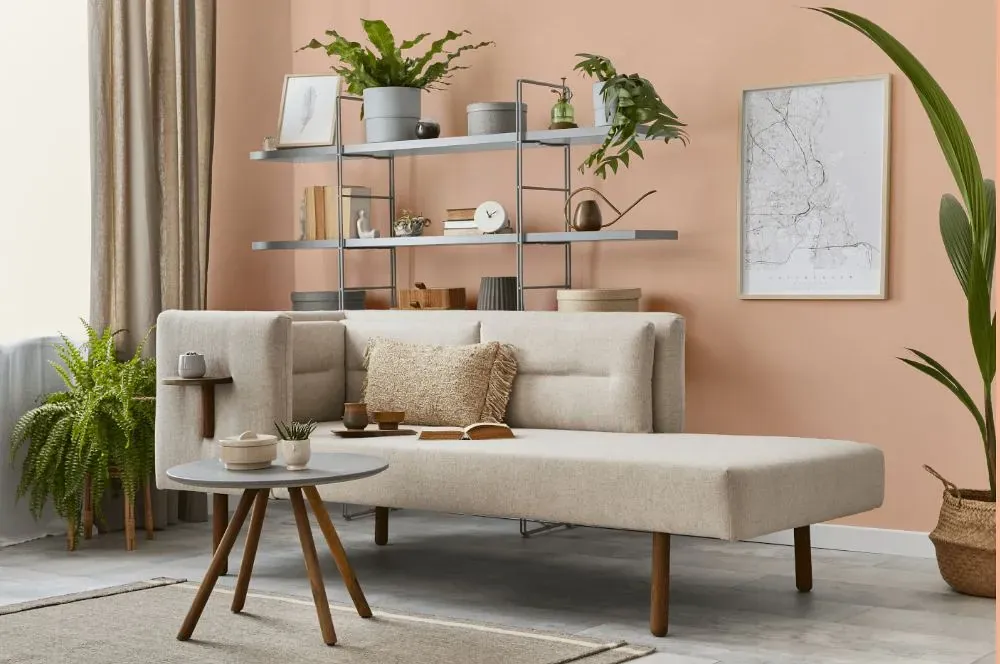 Benjamin Moore Orange Creamsicle living room