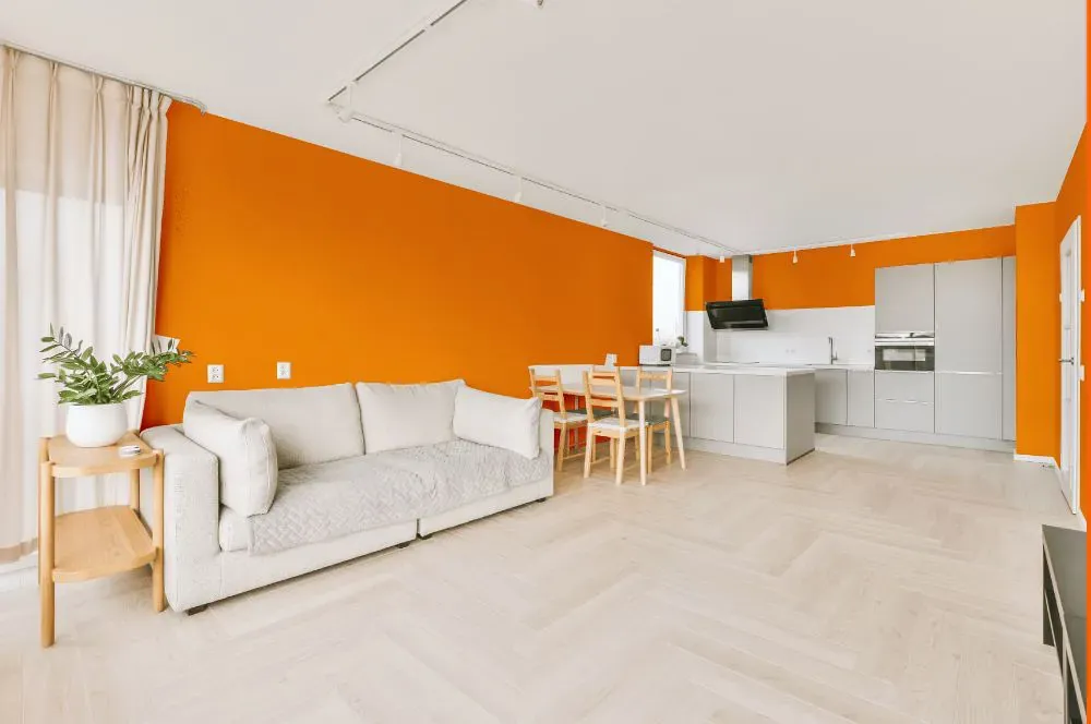 Benjamin Moore Orange Juice living room interior