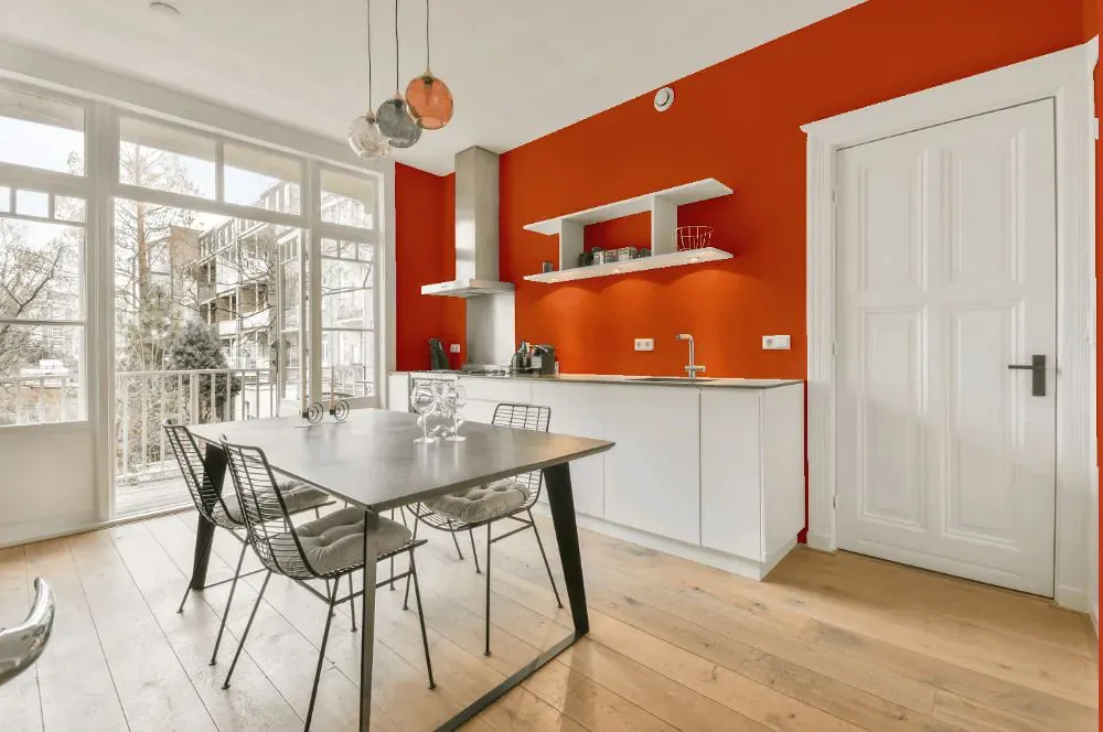 Benjamin Moore Orange Parrot kitchen review