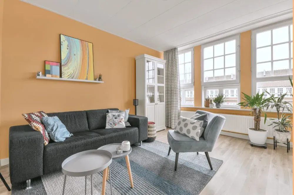 Benjamin Moore Orange Sherbet living room walls