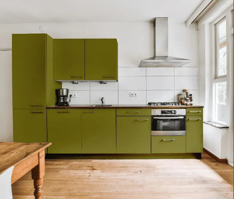 Benjamin Moore Oregano kitchen cabinets