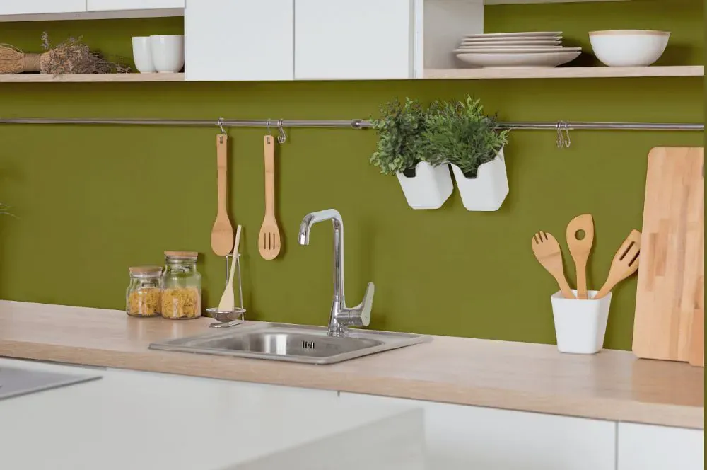 Benjamin Moore Oregano kitchen backsplash