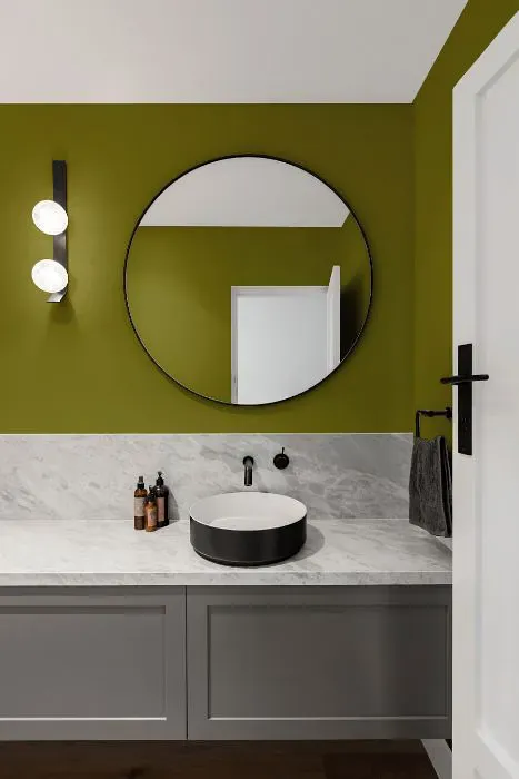 Benjamin Moore Oregano minimalist bathroom