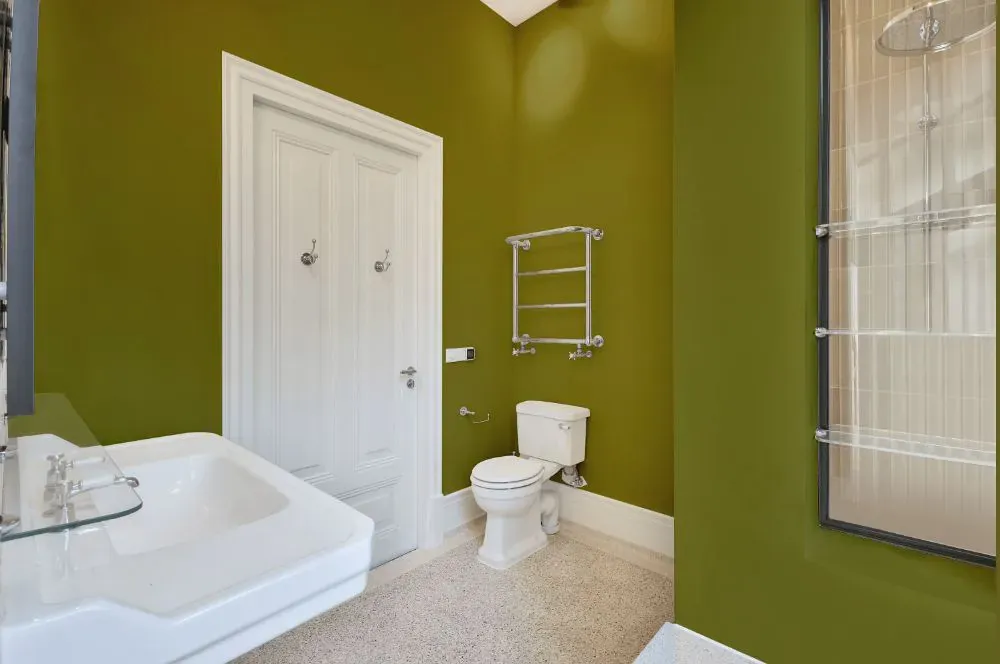 Benjamin Moore Oregano bathroom