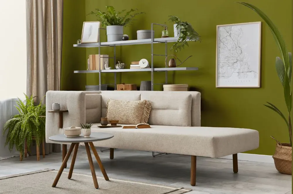 Benjamin Moore Oregano living room