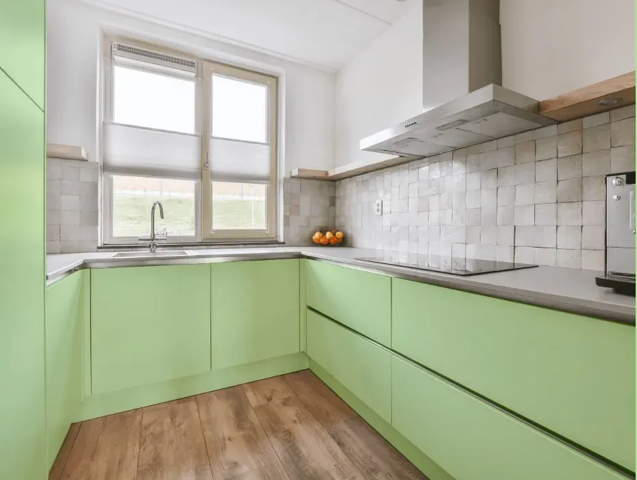 Benjamin Moore O'Reilly Green small kitchen cabinets
