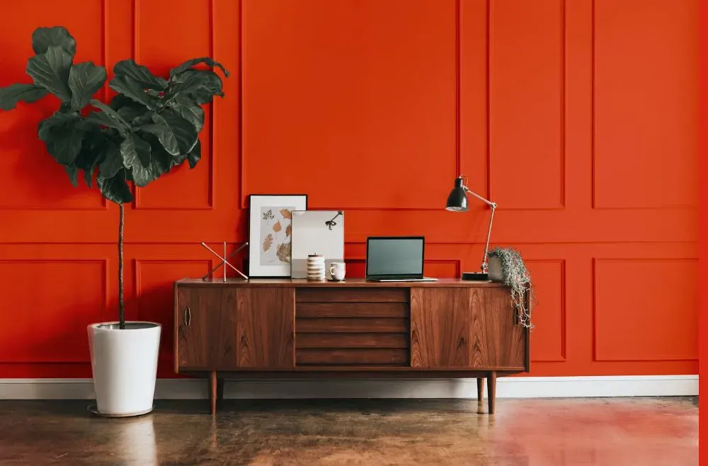 Benjamin Moore Outrageous Orange modern interior