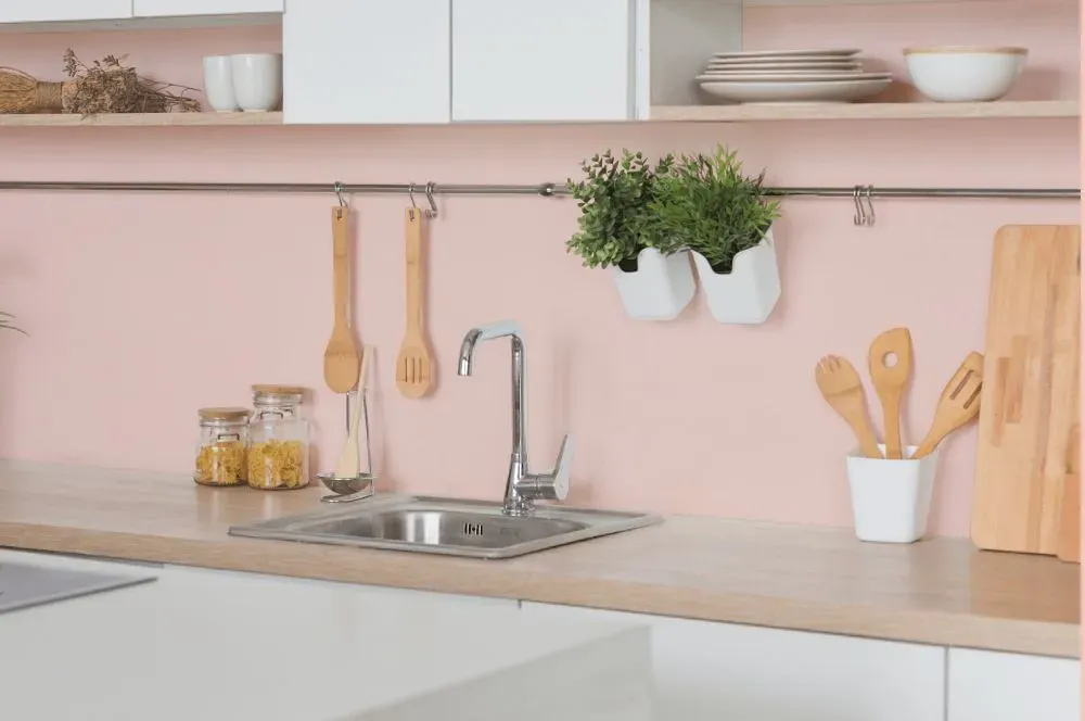 Benjamin Moore Pacific Grove Pink kitchen backsplash