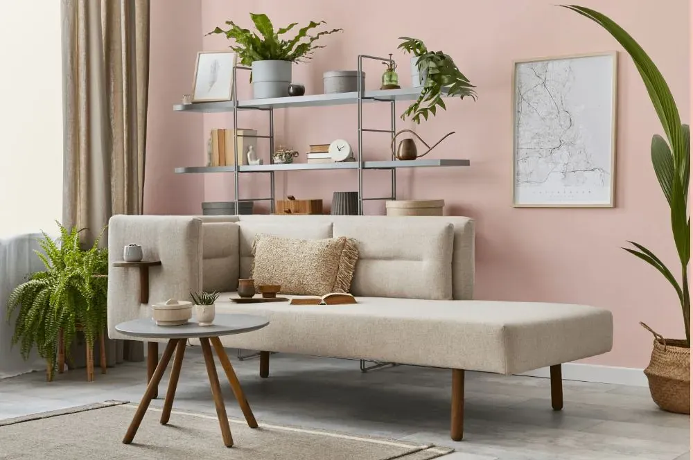 Benjamin Moore Pacific Grove Pink living room