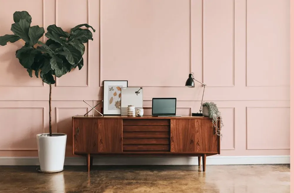 Benjamin Moore Pacific Grove Pink modern interior