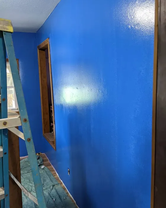 BM Paddington Blue wall paint 