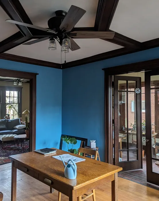 Benjamin Moore Palace Blue wall paint review