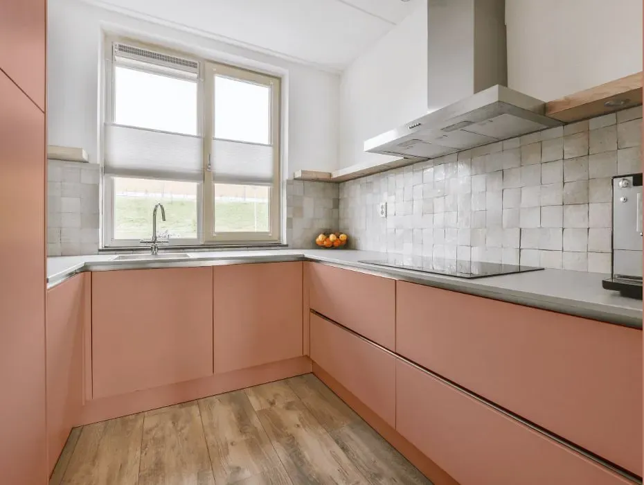Benjamin Moore Palazzo Pink small kitchen cabinets