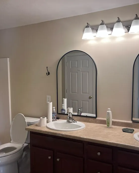 Benjamin Moore Pale Almond bathroom 