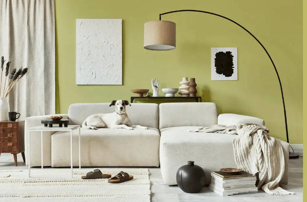 Benjamin Moore Pale Avocado cozy living room