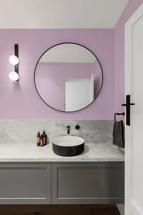 Benjamin Moore Pale Iris minimalist bathroom
