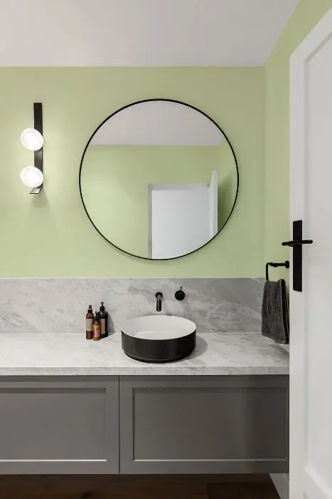 Benjamin Moore Pale Vista minimalist bathroom