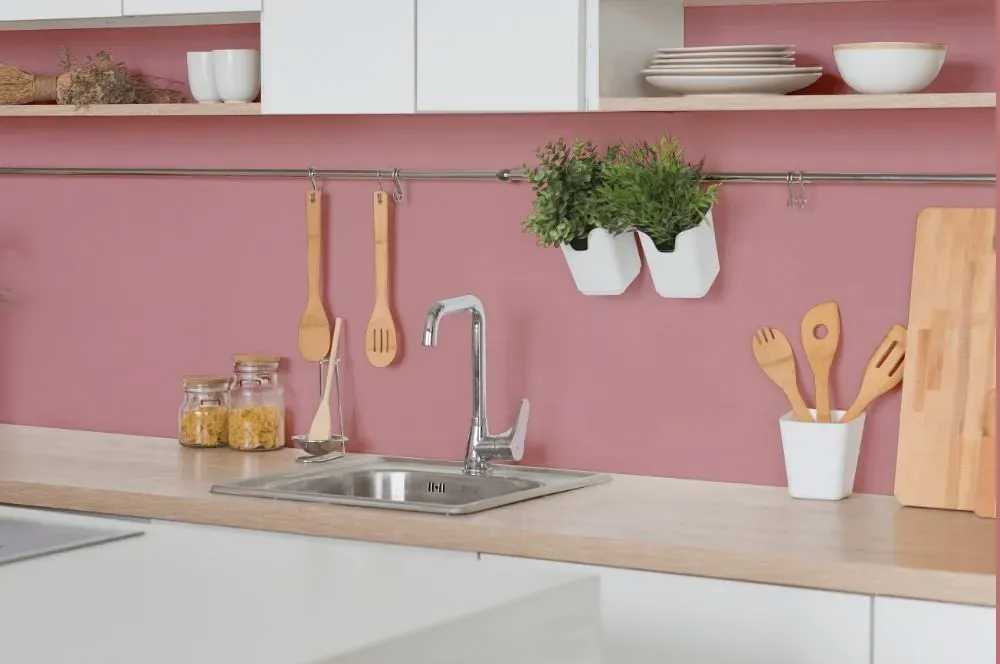 Benjamin Moore Palermo Rose kitchen backsplash