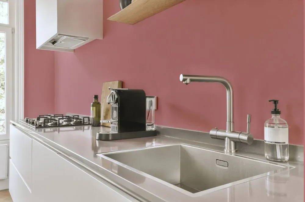 Benjamin Moore Palermo Rose kitchen painted backsplash