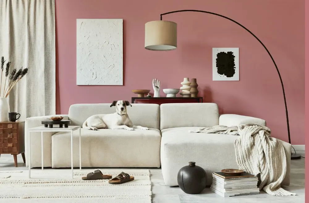 Benjamin Moore Palermo Rose cozy living room