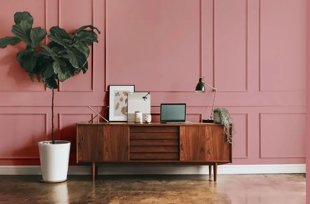 Benjamin Moore Palermo Rose modern interior