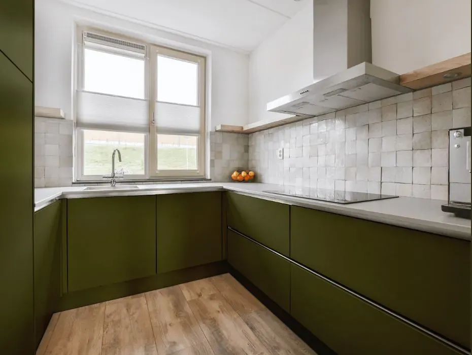 Benjamin Moore Palmer Green small kitchen cabinets