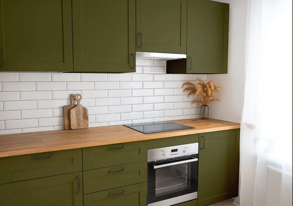 Benjamin Moore Palmer Green kitchen cabinets