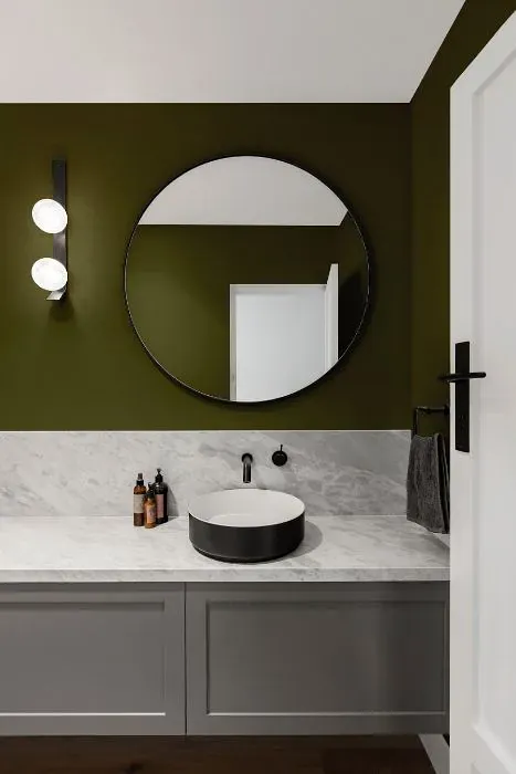 Benjamin Moore Palmer Green minimalist bathroom