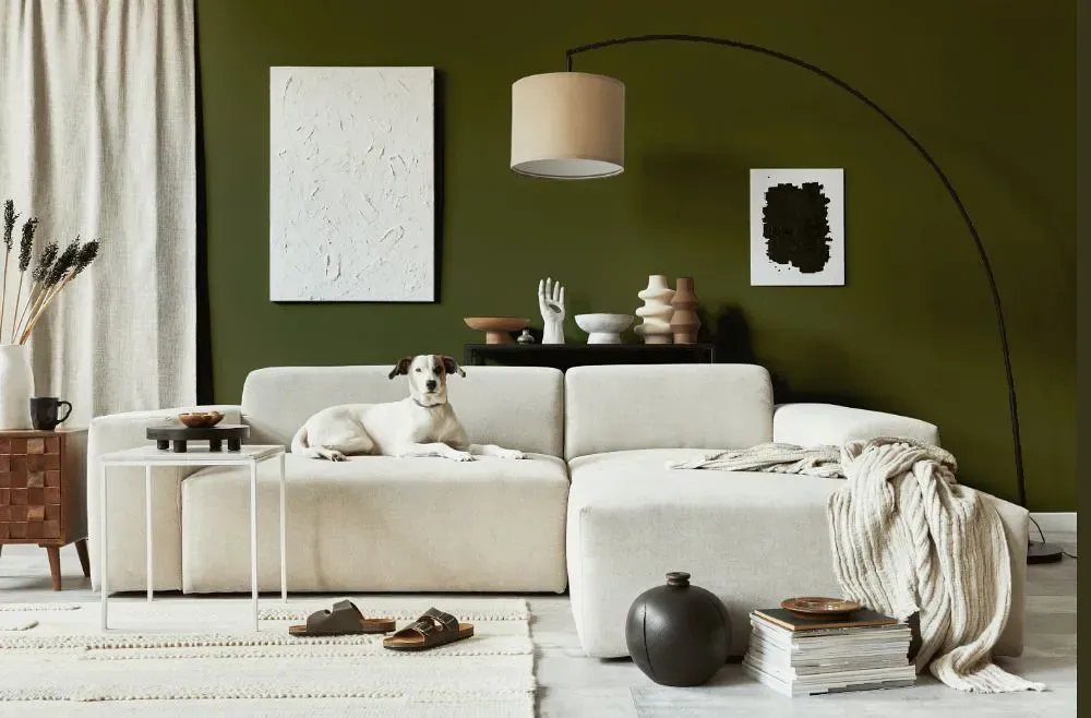 Benjamin Moore Palmer Green cozy living room