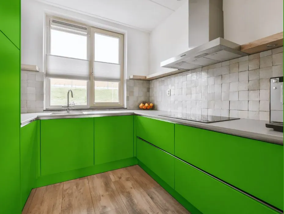 Benjamin Moore Paradise Green small kitchen cabinets
