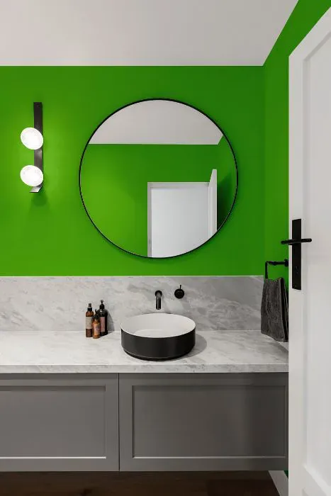 Benjamin Moore Paradise Green minimalist bathroom