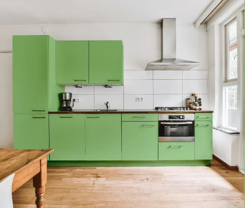 Benjamin Moore Paradise Hills Green kitchen cabinets