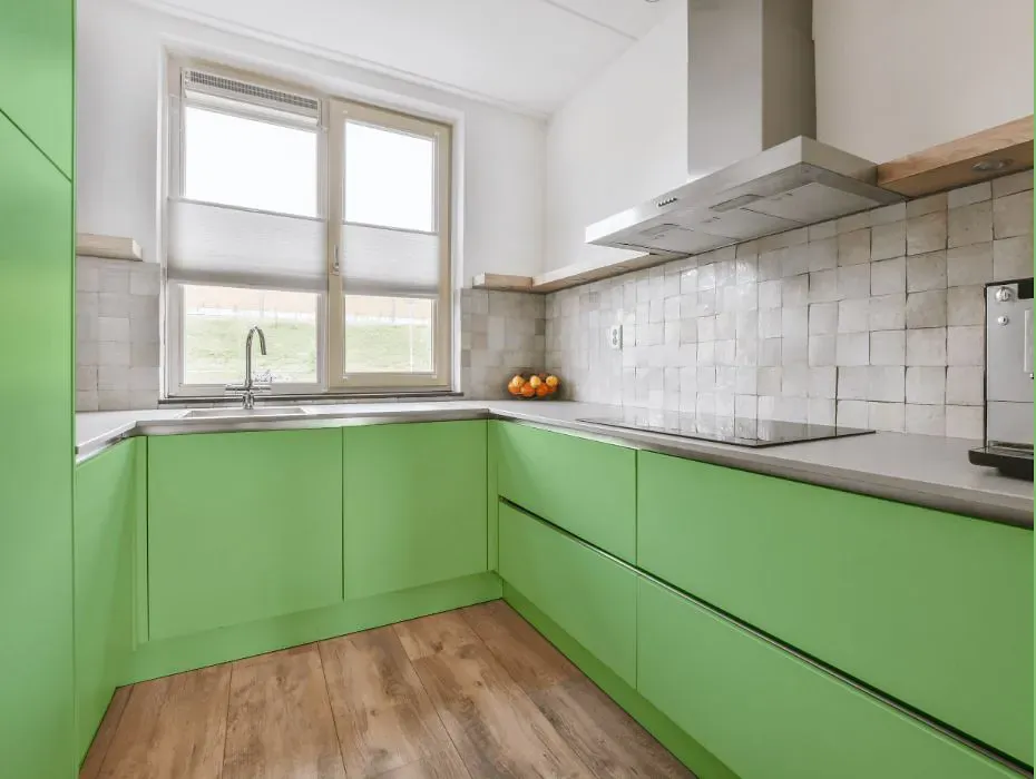 Benjamin Moore Paradise Hills Green small kitchen cabinets