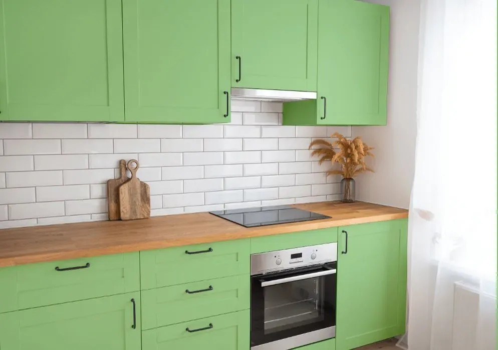 Benjamin Moore Paradise Hills Green kitchen cabinets