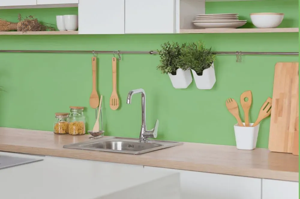 Benjamin Moore Paradise Hills Green kitchen backsplash