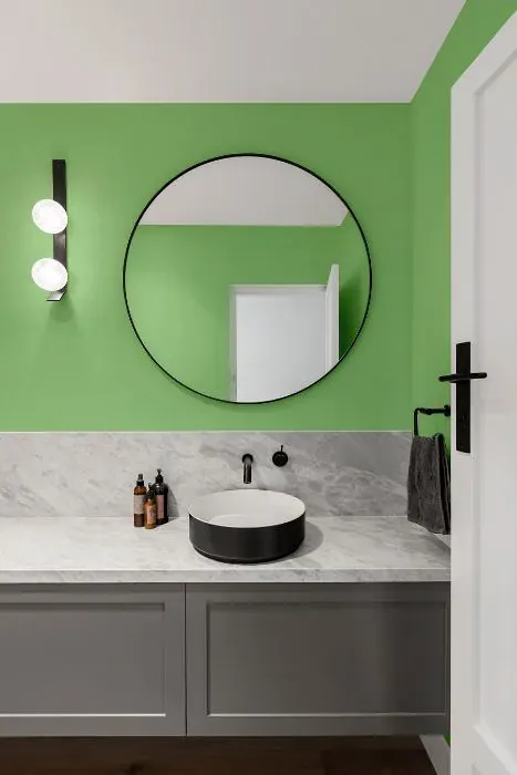 Benjamin Moore Paradise Hills Green minimalist bathroom