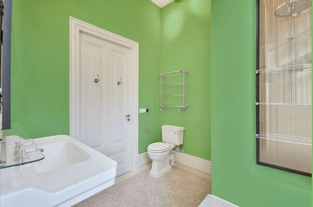 Benjamin Moore Paradise Hills Green bathroom