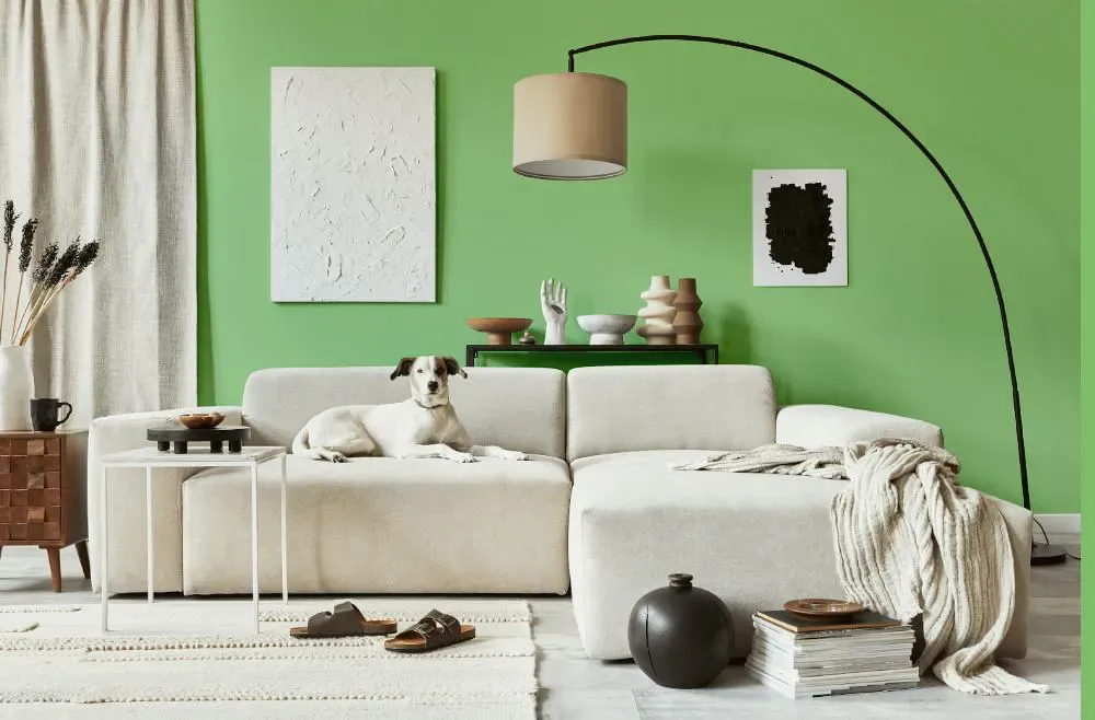 Benjamin Moore Paradise Hills Green cozy living room