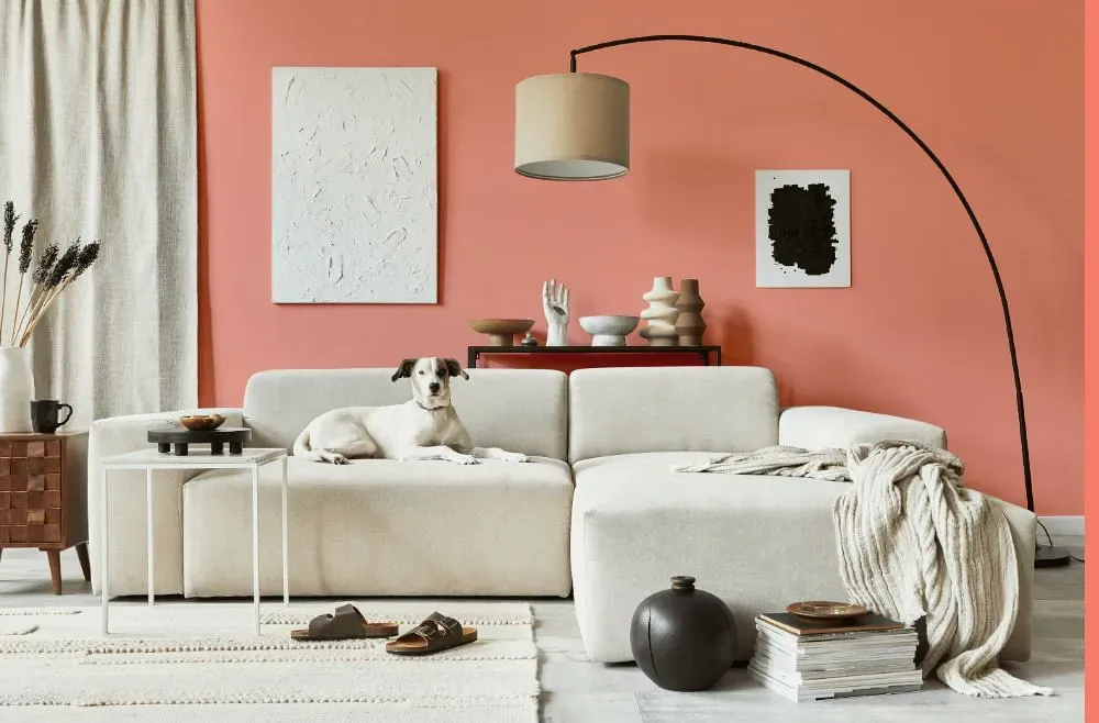 Benjamin Moore Paradise Peach cozy living room