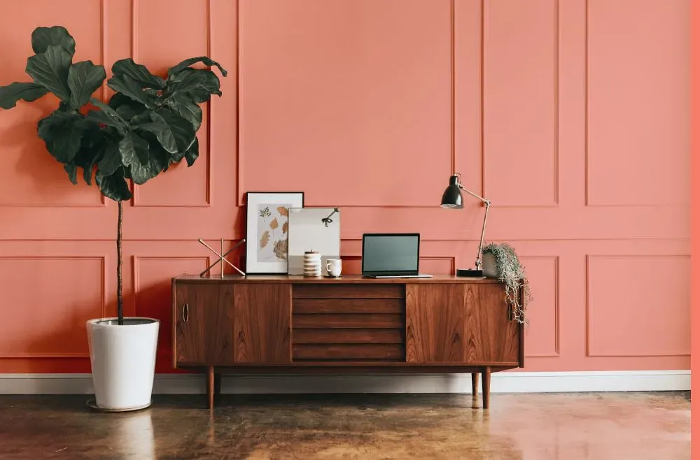 Benjamin Moore Paradise Peach modern interior