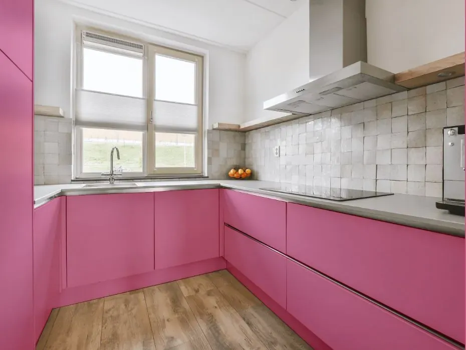 Benjamin Moore Paradise Pink small kitchen cabinets