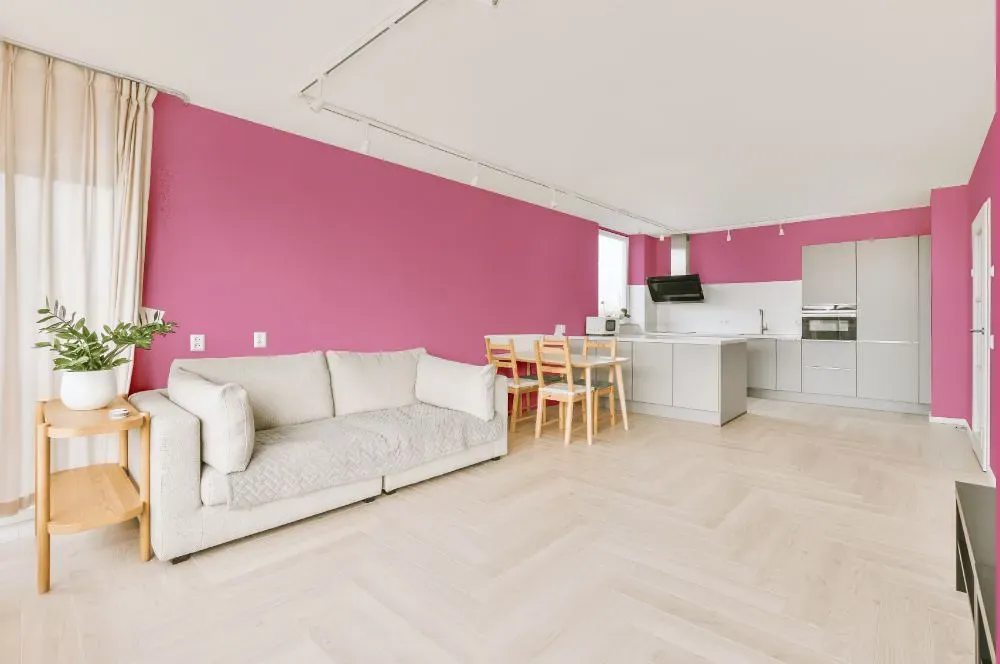 Benjamin Moore Paradise Pink living room interior