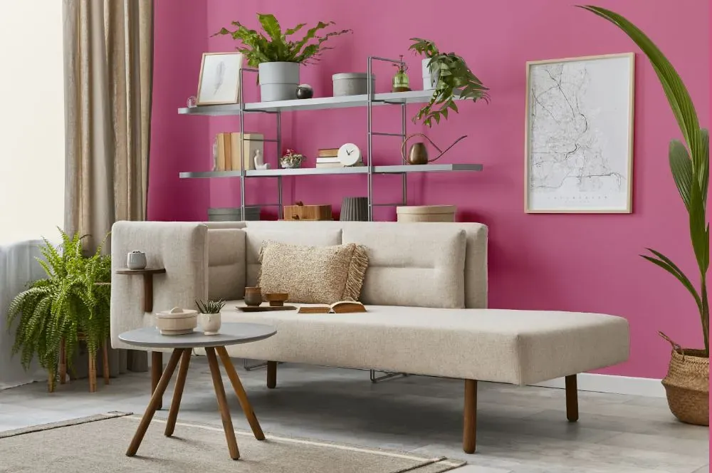 Benjamin Moore Paradise Pink living room