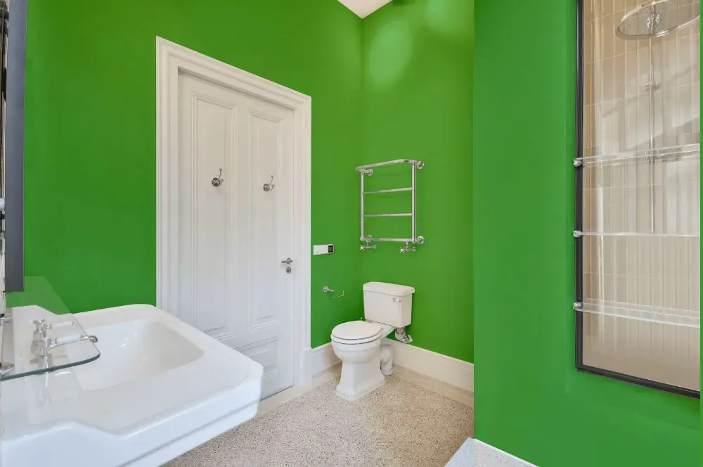 Benjamin Moore Paradise Valley bathroom