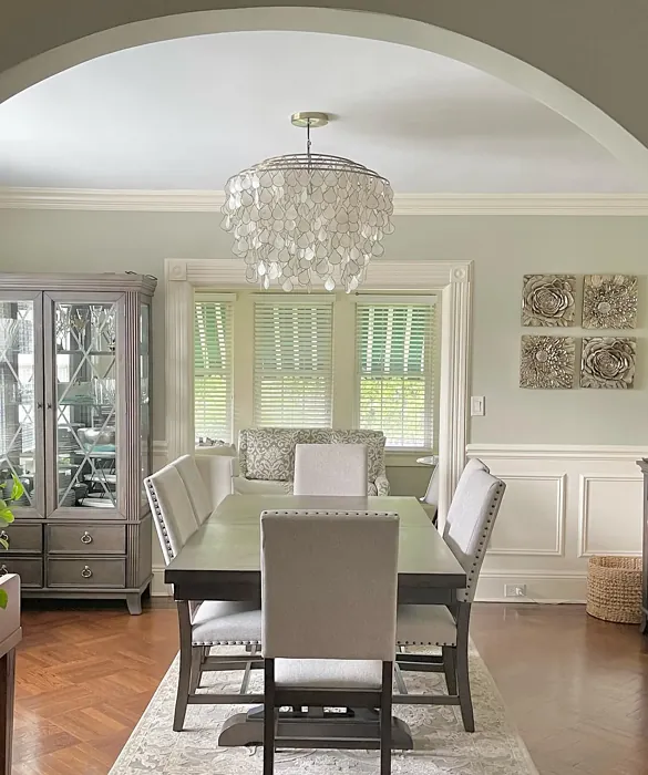 Benjamin Moore Paris Rain dining room paint