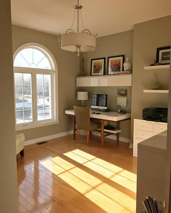 Benjamin Moore Paris Rain home office interior